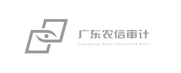 广东农信审计