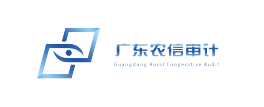 广东农信审计